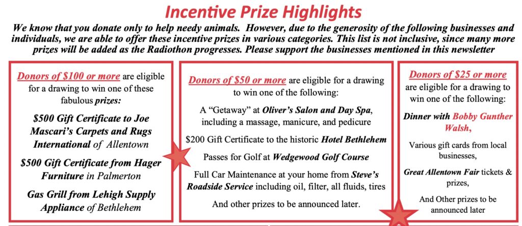 RadiothonIncentives