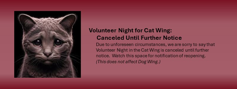 Volunteer Night in the Cat Wing is Canceled