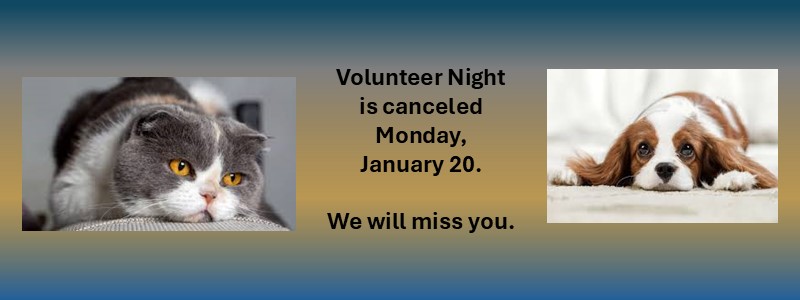 Volunteer Night Canceled