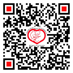 qr-code_Give Lively_Donate w Logo