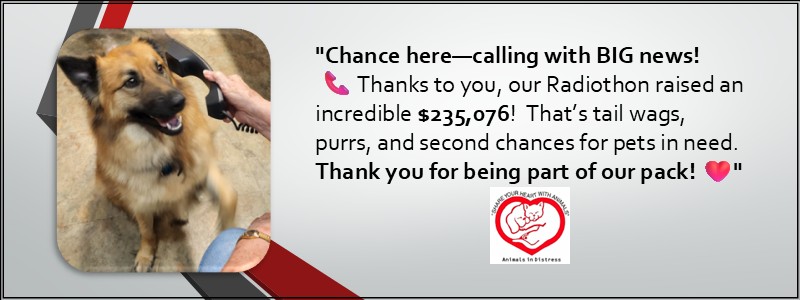 📞 Chance Called—He Says Thank You!