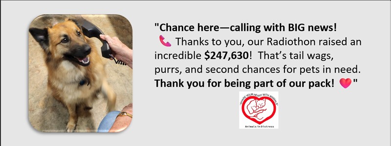Radiothon 2026 Thank You!